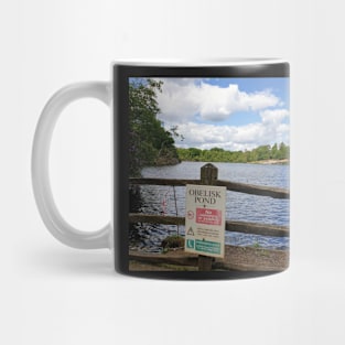 Obelisk pond at Virginia Water Mug